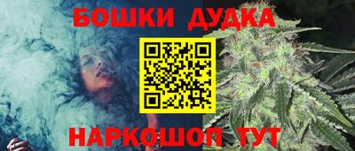 МДПВ Лесосибирск