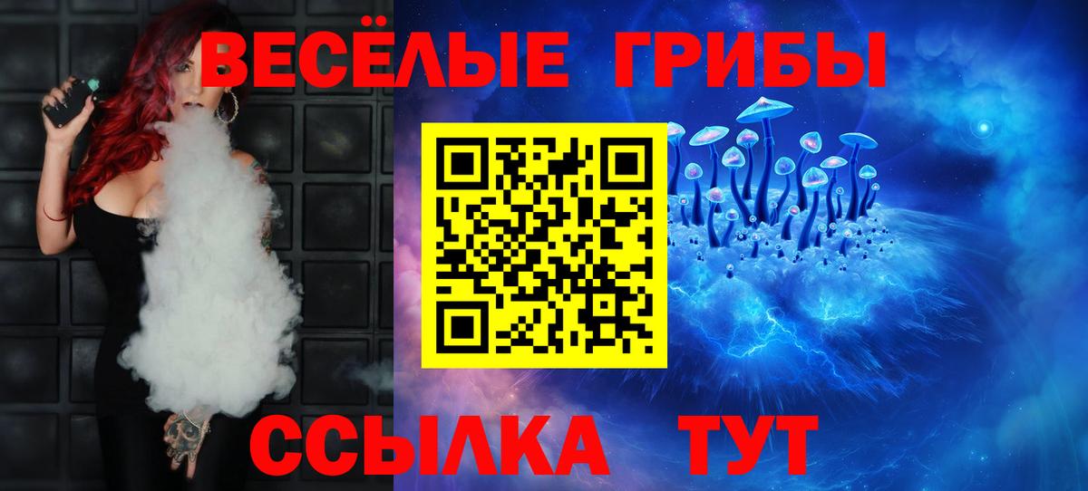 Десногорск  Псилоцибиновые грибы GOLDEN TEACHER  Вход с VPN 